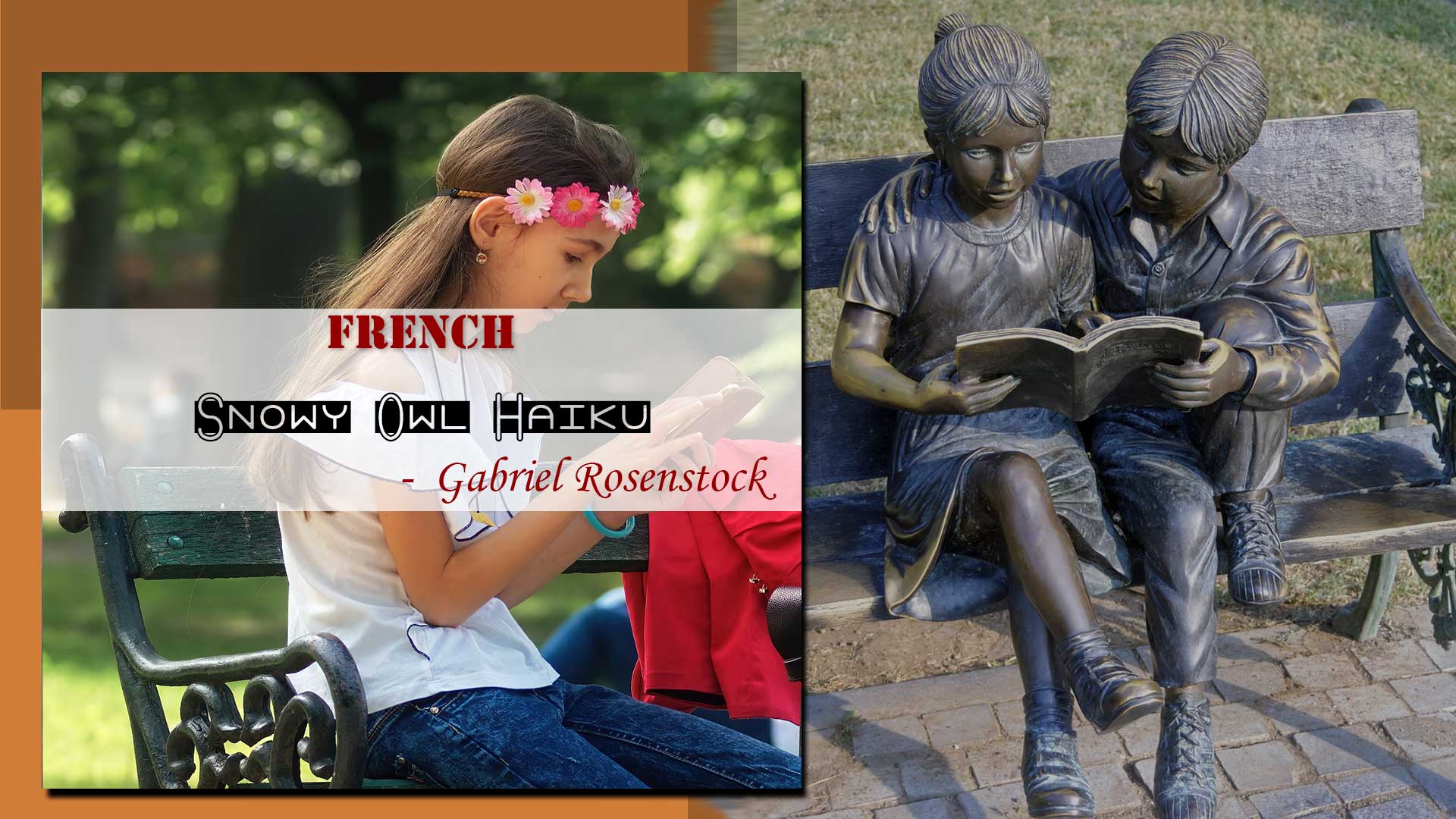 Snowy Owl Haiku for older children